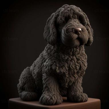 3D model Spanish Water dog (STL)